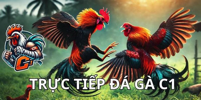 Giải đấu C1 cung cấp nhiều trận đấu kịch tính và thu hút