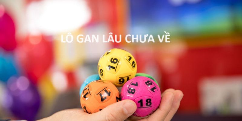 Lô gan mang đến cơ hội nhận thưởng lớn