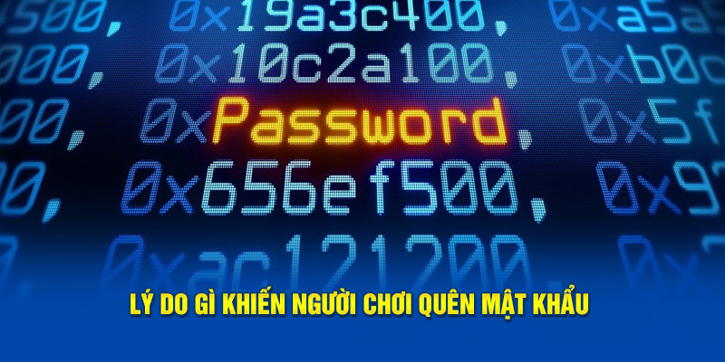 Lý do gì khiến người chơi quên mật khẩu