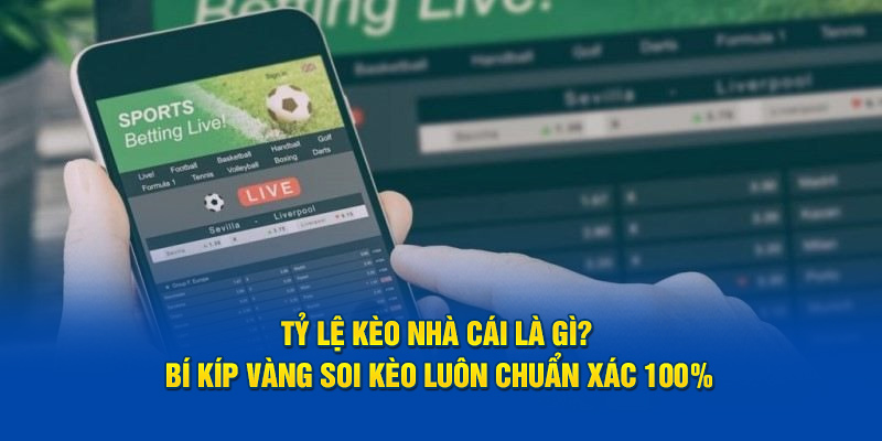 Sơ lược đôi nét về tỷ lệ kèo nhà cái